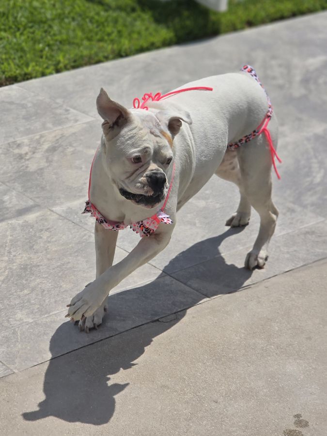 Catalina paseando con su bikini rosado