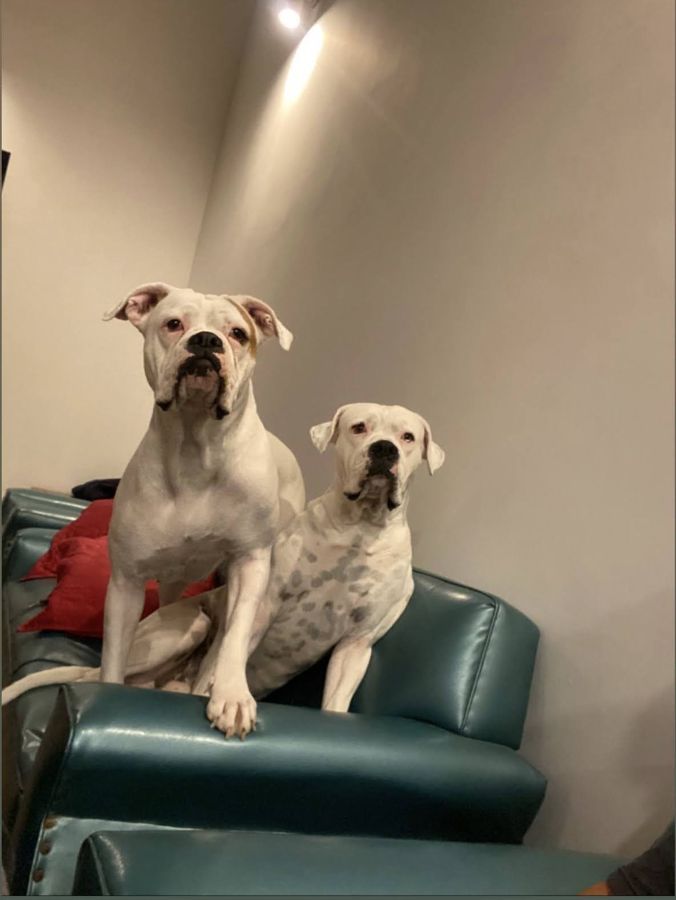 Drako y Catalina juntos en el sofá